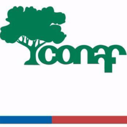 CONAF